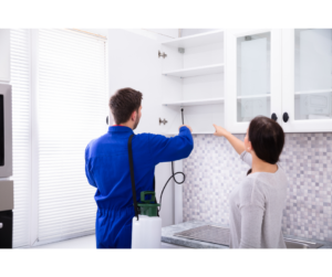 Pest Control Mississauga